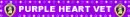 purple heart vet