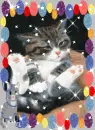 cat relaxing