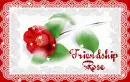 red rose