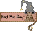 bad fur day