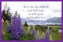 Rejoice