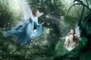 Fairy