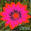LIZZY