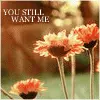 Do you Still