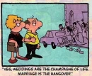 marriage comic