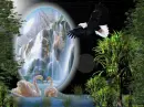 Nature Bg