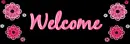 Pink Flowers - Banner
