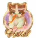 Hello