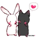 bunny and kitty