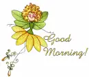 Morning