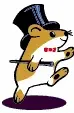 daning hamster