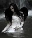 Dark angel
