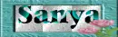 name text