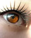 eye