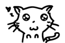 cute kitty