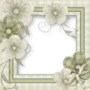 frame