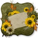 Sun flower card