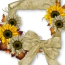 sun flower