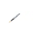 Pen writing Roni
