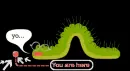 funny caterpillar