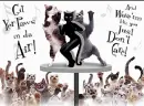 PUSSYCAT