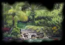 tropical island