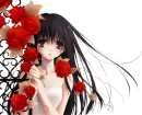 AnimeCompassion