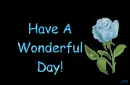 Have A Wonderful Day!