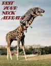 rest your neck