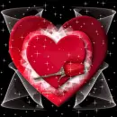 red heart and a red rose