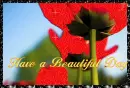 Have A beautiful dAY