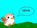 cheesy bird