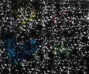neon hearts