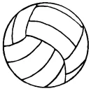 volleyball