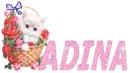 Adina
