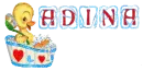 Adina