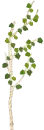 çˆ±æƒ…æ ‘ love tree