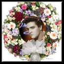 elvis