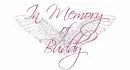 In memory of Buddy