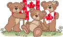 Canada Bears