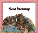 Good Morning