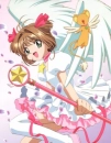 pink sakura