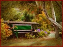 Fall Scenery