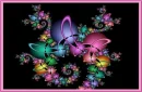 Colorful Background