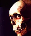 evil dead skull