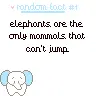 Random  Fact