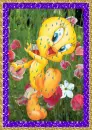 tweety