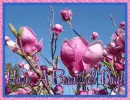 Have A Beautiful Day!