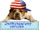DOG HAPPY LABOR DAY
