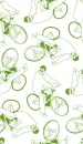 bicycles